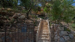 A stone staircase leading up a rocky slope, surrounded by trees and a metal gate.