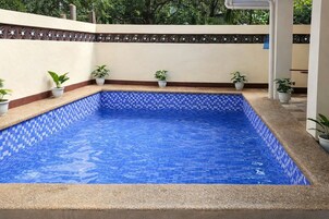 Piscina rectangular con mosaicos azules y borde de guijarros, rodeada de plantas en macetas y un muro decorativo.