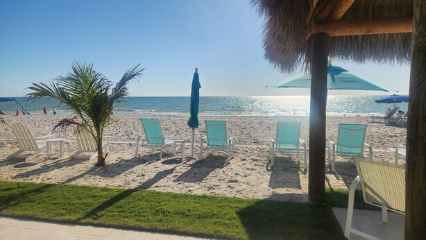 A beach view with lounge chairs and umbrellas, a palm tree, and a thatched roof structure. - 1 Week ON VANDERBILT BEACH in Naples Florida. 
Oct 31-Nov 7 2026 ONLY (Naples)