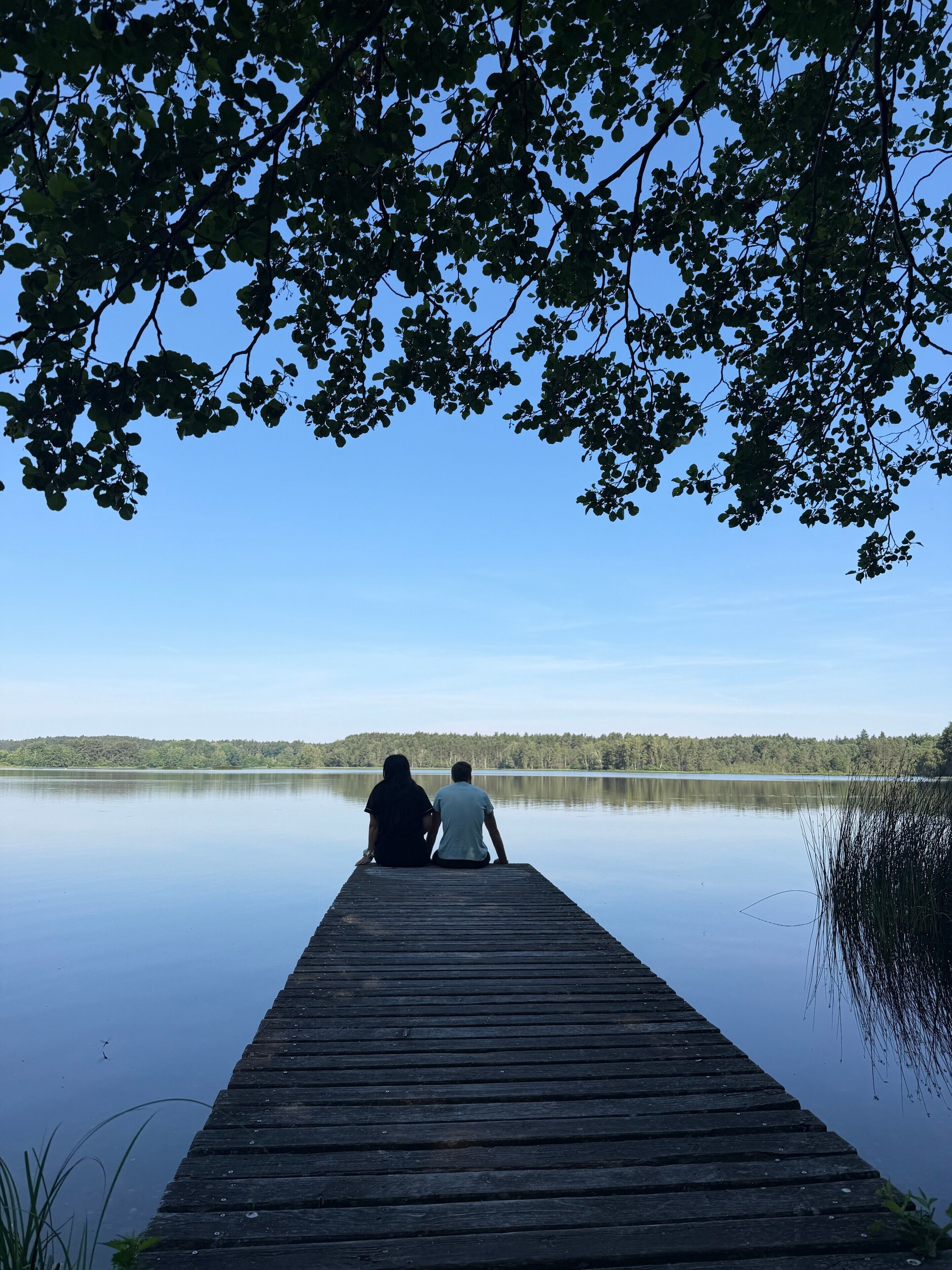 Une jetée en bois s’étendant sur un lac paisible, entourée d’arbres.