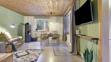 Televisión, chimenea