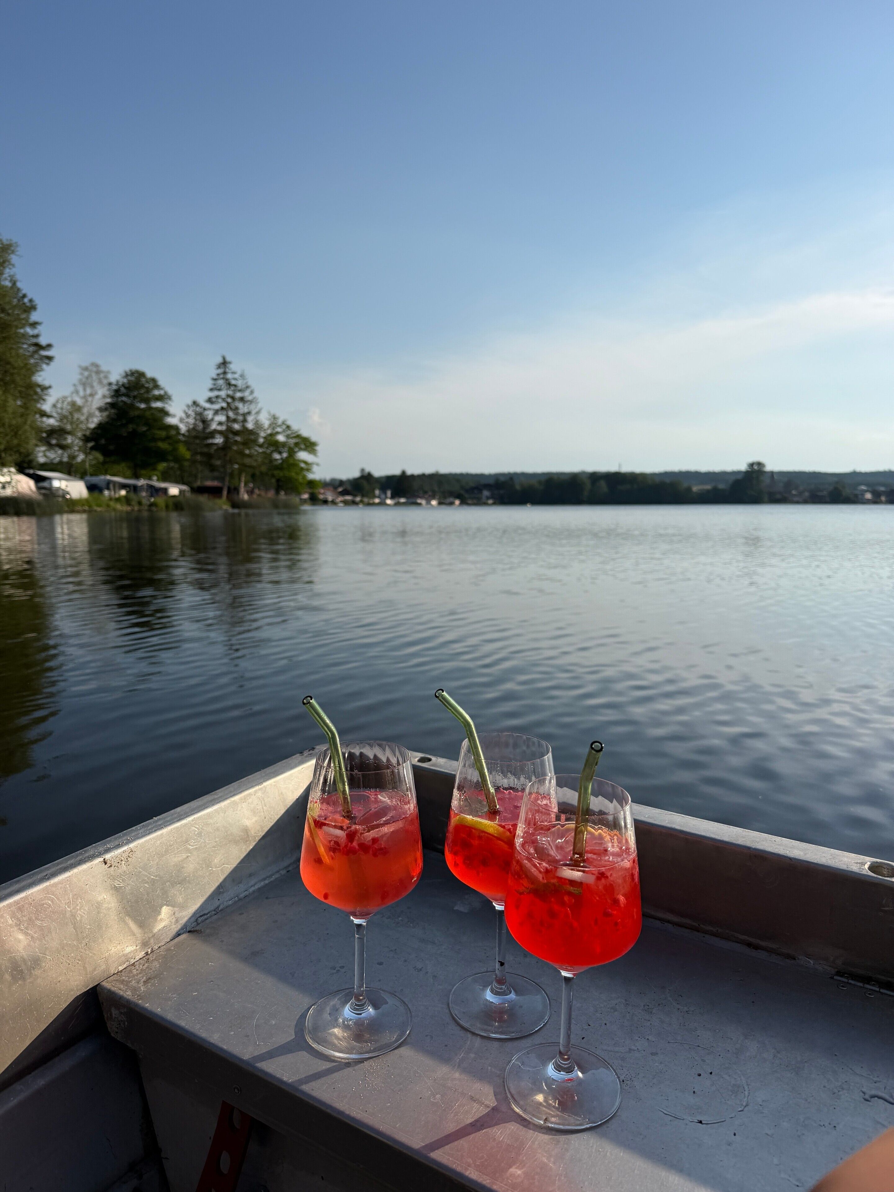 Zwei Gläser rotes Getränk auf einem Boot mit Seeblick.