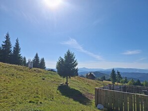 Property grounds - Altan's Gold– Perfect for Family & Friends (NT)