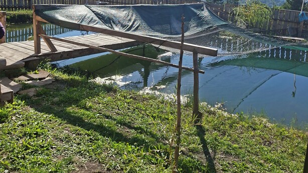 Een houten terras met uitzicht op een vijver en bergen op de achtergrond.