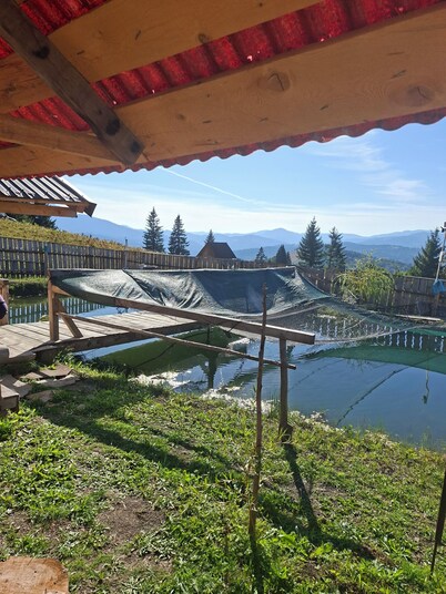 Altan's Gold– Perfect for Family & Friends