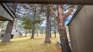 Une vue depuis un espace extérieur abrité, doté d’une terrasse en bois, entouré de grands arbres et d’une pelouse verdoyante.