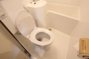 Hair dryer, towels, toilet paper