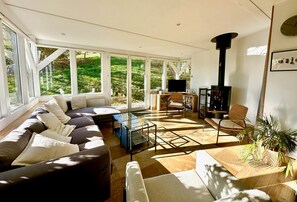 Télévision, cheminée