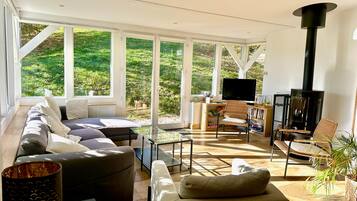 Télévision, cheminée