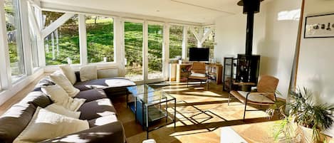 TV, fireplace, stereo