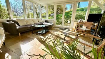 Télévision, cheminée