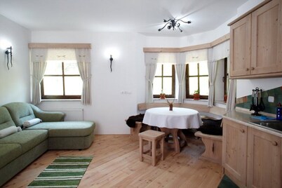 Charming 1-bedroom apartment - Savinja