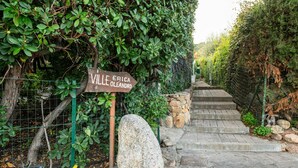 Una escalera de piedra que conduce a un letrero que dice 'Ville Erica Oleandro'.
