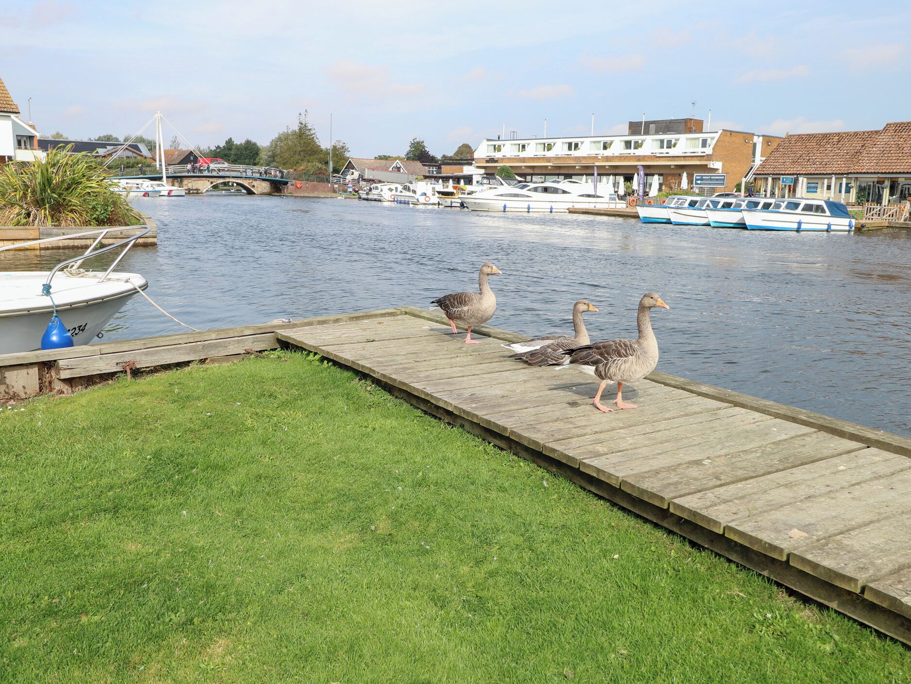 Eine Holzsteganlage mit einer Rasenfläche davor, ein Kanal mit Booten und Gebäude im Hintergrund.