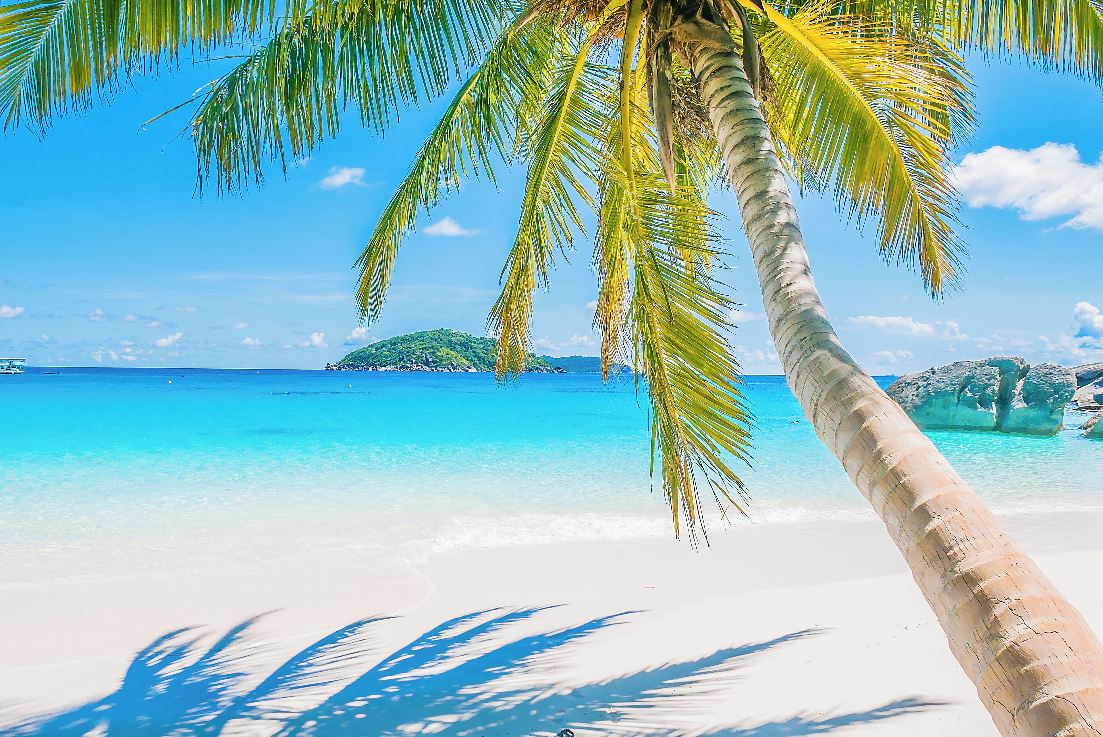 Ligstoelen aan het strand, strandlakens