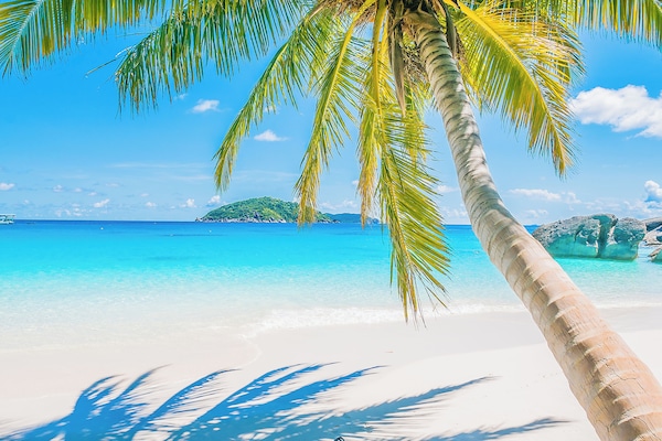 Ligstoelen, strandlakens