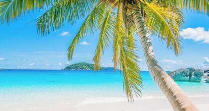 Escape near Siesta Key with Hot Tub, BBQ, and Fireplace