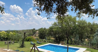 Detached 4 bedroom villa with private pool