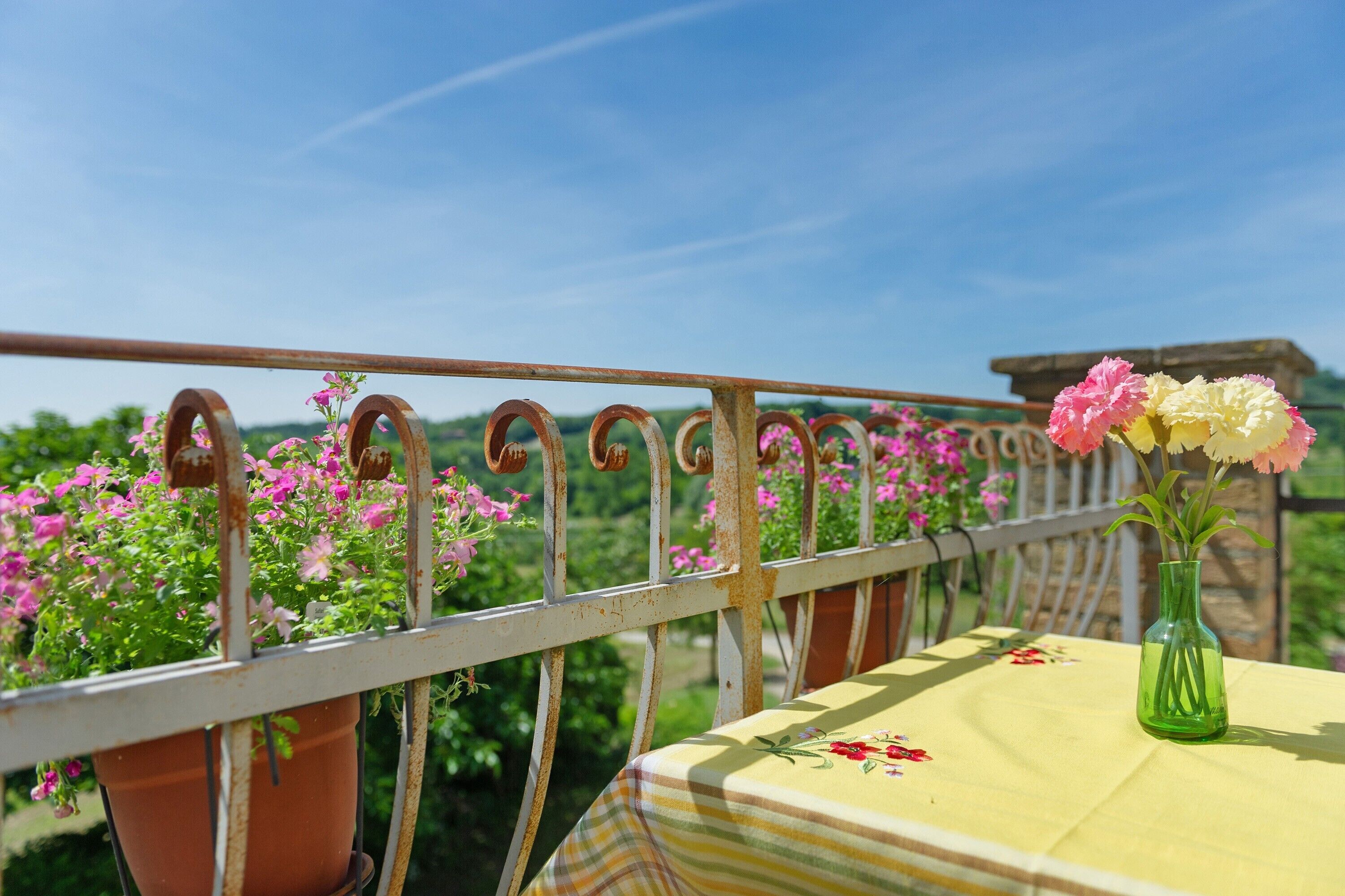A balcony with a metal railing, potted plants, and a table with a yellow tablecloth.