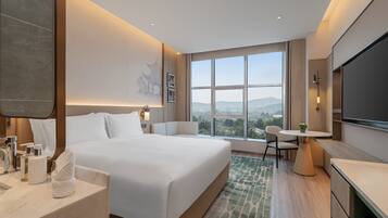 Superior Single Room, City View | Pemandangan dari bilik