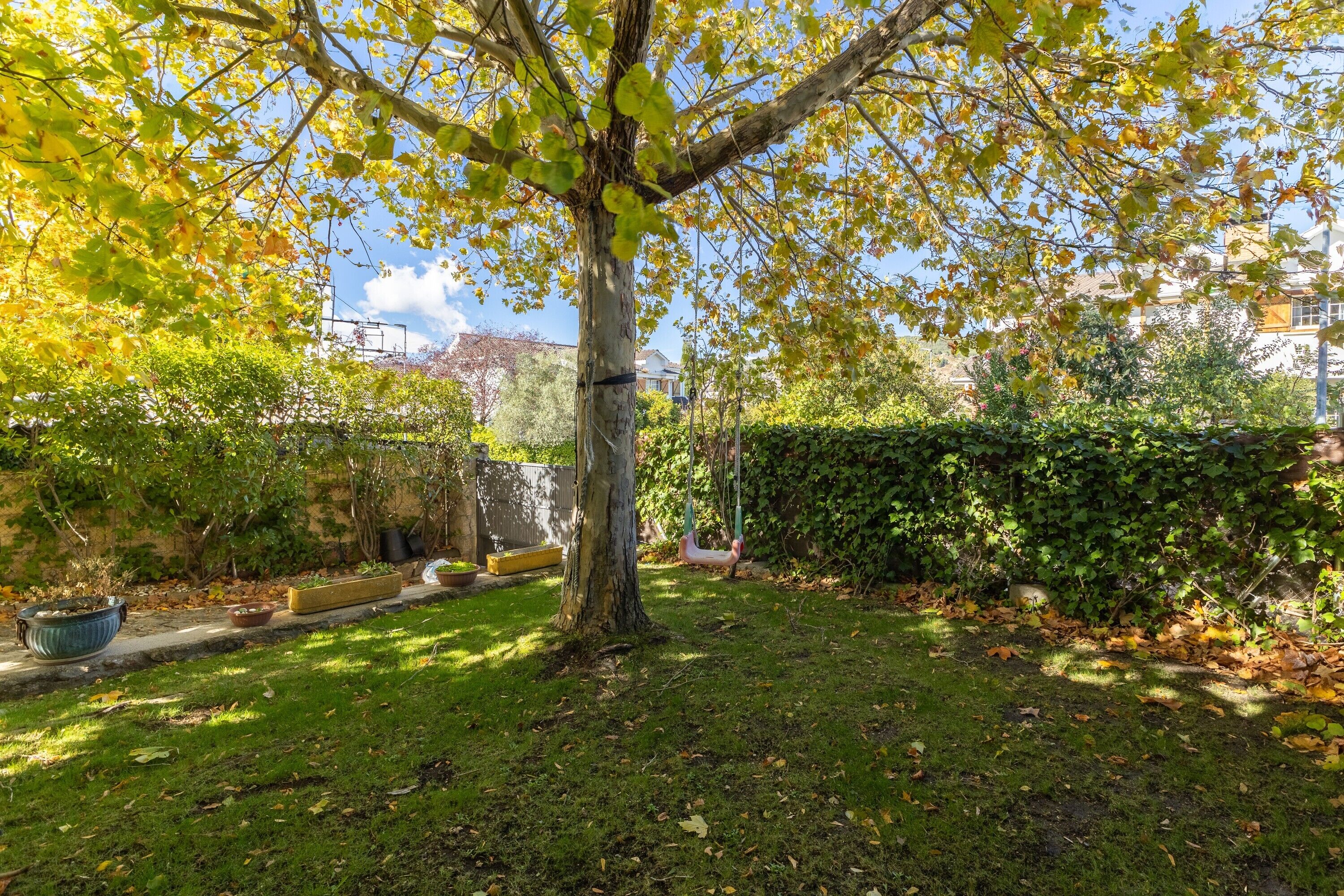A tree-lined yard with a swing set, a paved path, and a hedge.