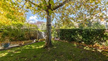 A tree-lined yard with a swing set, a paved path, and a hedge.