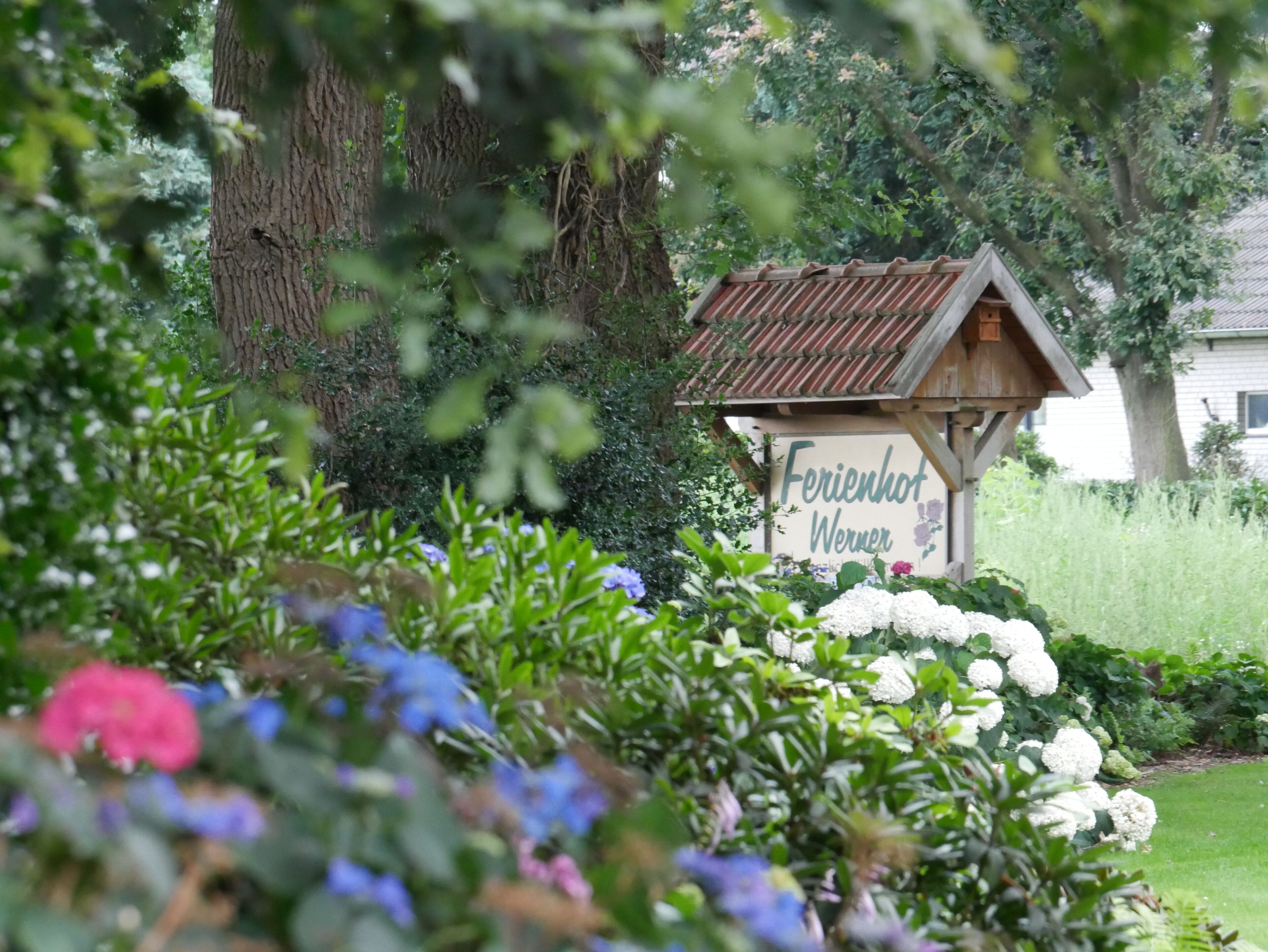 Parco della struttura