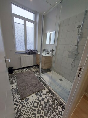 Shower, hair dryer, towels