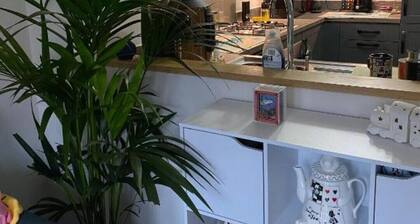 The Cottontail - Deluxe Private Room With Breakfast - Tamworth