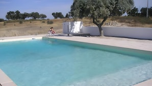 Une piscine à l’eau claire, entourée d’un mur blanc et d’un arbre.