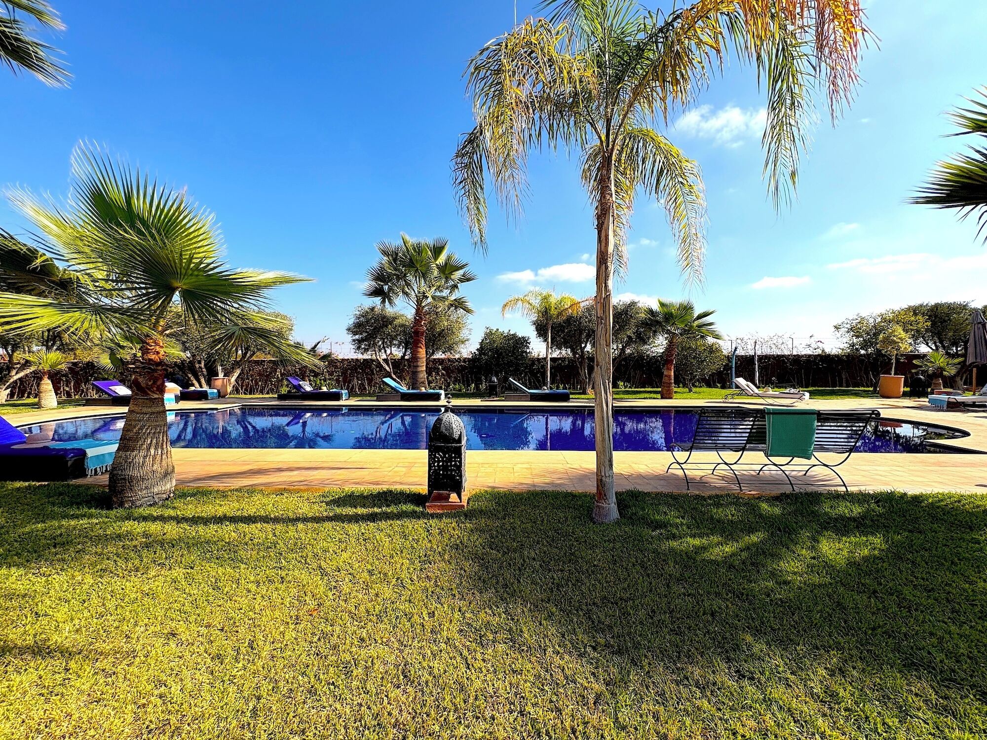 A pool area with lounge chairs and palm trees.