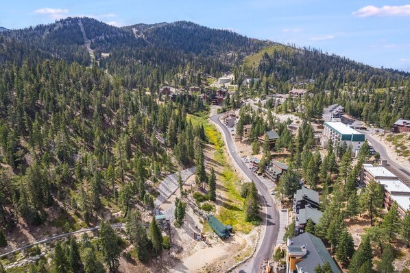 Luchtbeeld van een bergachtig gebied met een slingerende weg, omringd door dichte bossen en meerdere gebouwen met verschillende architectuurstijlen, waaronder moderne en traditionele ontwerpen.