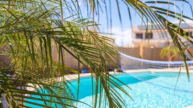 Une piscine avec un hamac et des palmiers au premier plan.