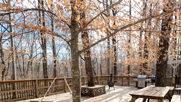 A wooden deck with picnic tables and a grill area, surrounded by trees with autumn leaves. - 371 Mountain Hill Rd, Fortson (Harris County)