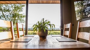 Una mesa de comedor de madera con una planta en maceta en el centro, rodeada de sillas de madera.