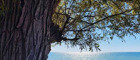 Playa en los alrededores