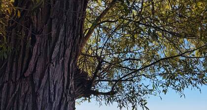 Luxury Lakeview Modern 3 Bedroom Cottage at Sherkston Shores.