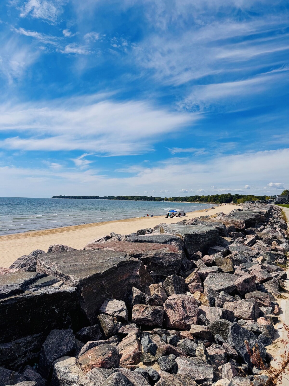 Imagen de perfil del propietario o de la propietaria