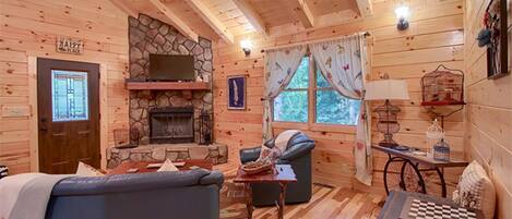 TV, fireplace, DVD player