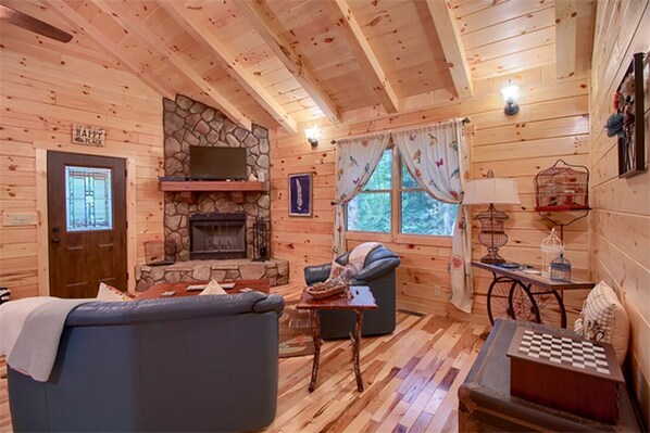 TV, fireplace, DVD player