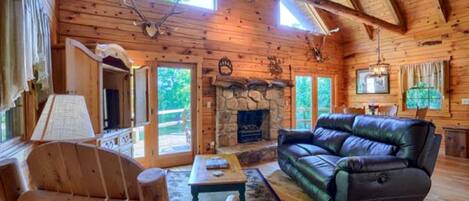 TV, DVD player, video library