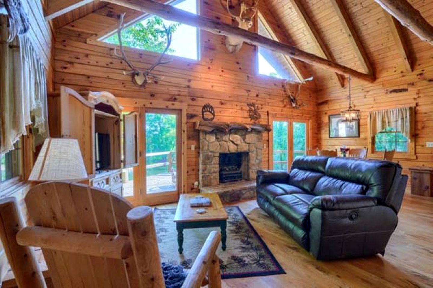 Televisie, een dvd-speler en een filmbibliotheek