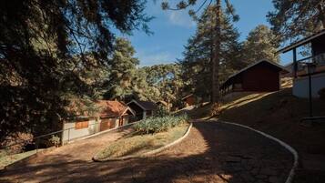 Jardines del alojamiento