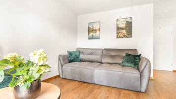 Fernseher, Stereoanlage