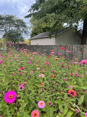 المنطقة المحيطة بالمنشأة