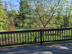 Property grounds - Large 1-Bdrm+ Apartment Surrounded by Nature in Rural Vermont (Addison)