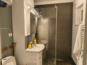 Un baño moderno con ducha, lavamanos e inodoro.