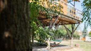 Etualalla näkyy puun runko, ja taustalla on epätarkka kuva rakennuksesta ja ruohikkoisesta alueesta.