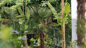 Superior double room with Garden Terrace | Blick auf den Garten