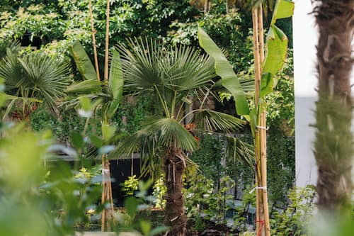 Superior double room with Garden Terrace | Garden view